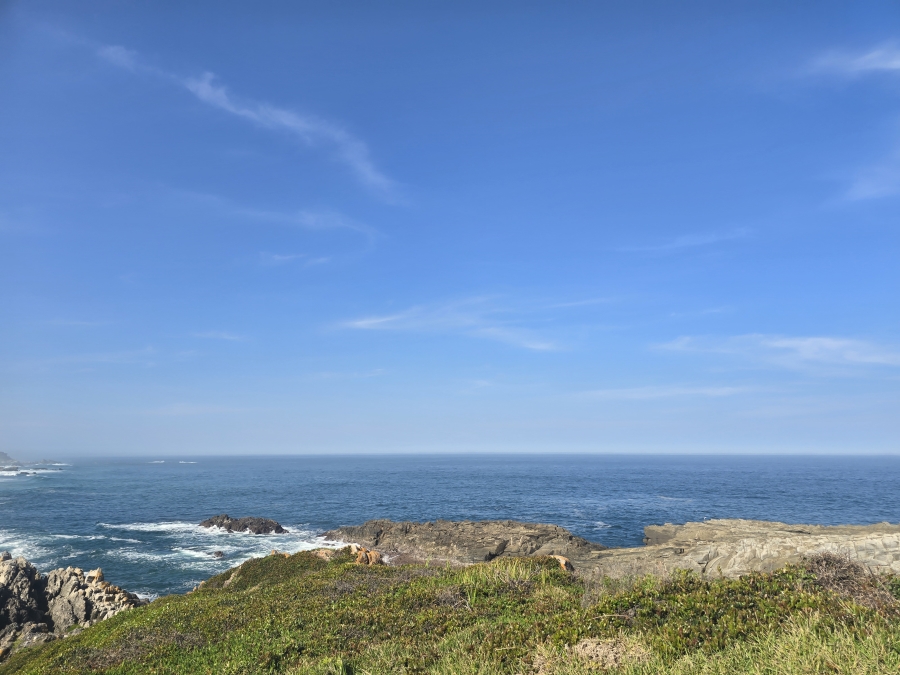 0 Bedroom Property for Sale in Eersterivierstrand Eastern Cape